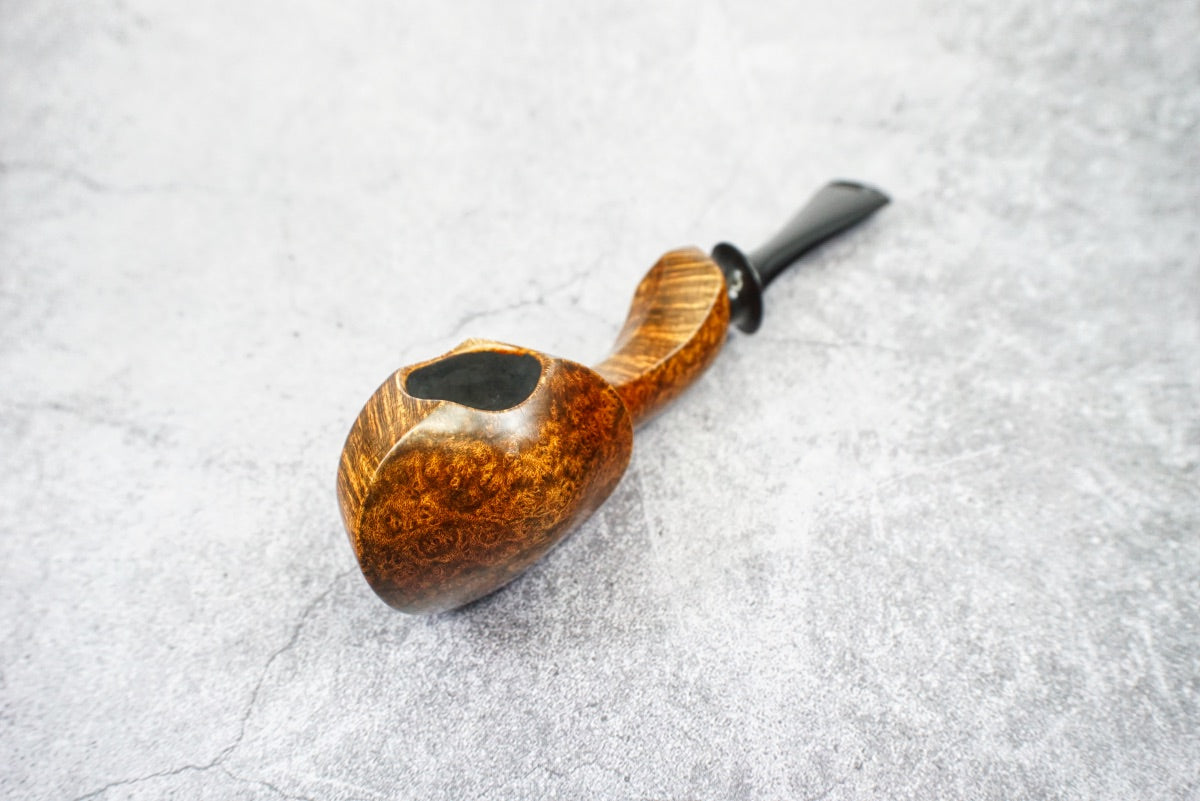 Smooth blowfish - snow3year