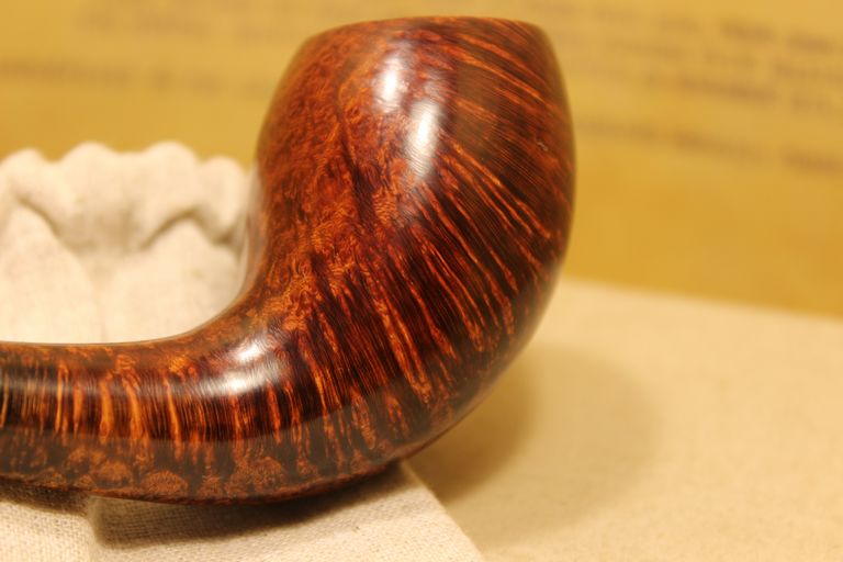 Smooth elephant's foot